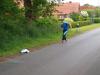 p6098052_t1.jpg