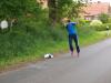 p6098054_t1.jpg