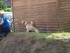 em_2013-06-15_119_t1.jpg