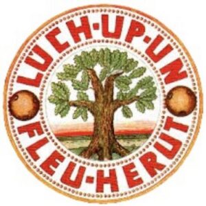 luech up